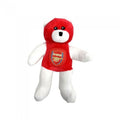 Front - Arsenal FC - Teddybär, unifarben