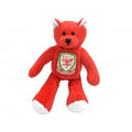 Front - Wales Fußball Mini Bär