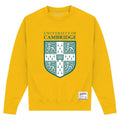 Front - Cambridge University - Sweatshirt für Herren/Damen Unisex