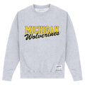 Front - Michigan Wolverines - Sweatshirt für Herren/Damen Unisex