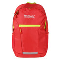 Front - Regatta Jaxon III Rucksack (10 Litres)