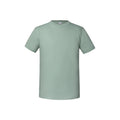 Salbei - Front - Fruit of the Loom - "Iconic Premium" T-Shirt für Herren