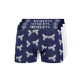 Bunt - Front - Henleys - "Lionwing" Boxershorts für Herren(3er-Pack)