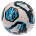 Blau-Weiß-Schwarz - Back - Tottenham Hotspur FC -  PVC Fußball ´Tracer´