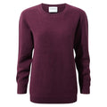 Winterbeere - Front - Craghoppers Damen Pullover Anja