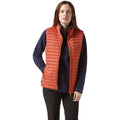 Terracotta - Back - Craghoppers Damen Weste VentaLite