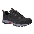 Graphitgrau-Dunkelrot - Front - Hi-Tec - Herren Wanderschuhe "Auckland Lite", Wildleder