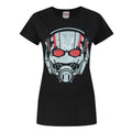 Schwarz - Front - Marvel Damen Ant-Man T-Shirt