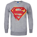 Grau - Front - DC Comics Herren Superman-Sweatshirt