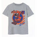 Grau meliert - Front - Paw Patrol - T-Shirt für Jungen kurzärmlig