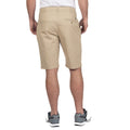 Steinfarben - Back - Island Green - Shorts für Herren - Emblem