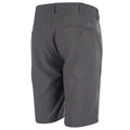 Holzkohle - Back - Island Green - Golf Shorts für Herren