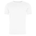 Wash Arctic - Front - AWDis Herren Washed T-Shirt