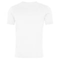 Wash Arctic - Back - AWDis Herren Washed T-Shirt