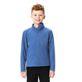 Königsblau - Back - Regatta Kinder Brigade II Micro Fleece Jacke