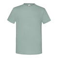 Salbei - Front - Fruit Of The Loom Herren T-Shirt Iconic