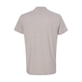 Silk - Back - Next Level Unisex CVC T-Shirt