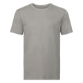 Steinfarben - Front - Russell Herren Authentic Pure Organik T-Shirt