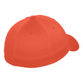 Würziges Orange - Back - Flexfit Unisex Baseballkappe