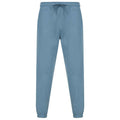 Stein Blau - Front - SF - Jogginghosen für Herren-Damen Unisex