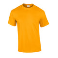 Gold - Front - Gildan - T-Shirt für Herren