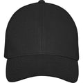 Schwarz - Front - Elevate - Herren-Damen Unisex 6 Segmente - Trucker Cap "Drake"