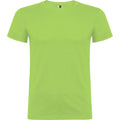 Oasen Grün - Front - Roly - "Beagle" T-Shirt für Kinder kurzärmlig