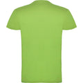 Oasen Grün - Back - Roly - "Beagle" T-Shirt für Kinder kurzärmlig