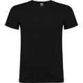 Schwarz - Front - Roly - "Beagle" T-Shirt für Kinder kurzärmlig