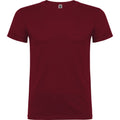 Granatrot - Front - Roly - "Beagle" T-Shirt für Kinder kurzärmlig
