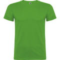 Grasgrün - Front - Roly - "Beagle" T-Shirt für Kinder kurzärmlig
