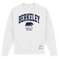 Weiß - Front - UC Berkeley - Sweatshirt für Herren-Damen Unisex