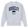 Grau meliert - Front - UC Berkeley - Sweatshirt für Herren-Damen Unisex