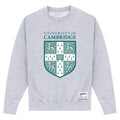 Grau meliert - Front - Cambridge University - Sweatshirt für Herren-Damen Unisex