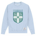Himmelblau - Front - Cambridge University - Sweatshirt für Herren-Damen Unisex