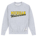 Grau meliert - Front - Michigan Wolverines - Sweatshirt für Herren-Damen Unisex