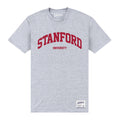 Grau - Front - Stanford University - T-Shirt für Herren-Damen Unisex