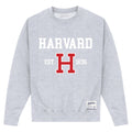 Grau meliert - Front - Harvard University - "Est 1636" Sweatshirt für Herren-Damen Unisex