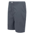 Mittelgrau - Side - Regatta - "Dalry" Shorts für Herren