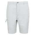 Silbergrau - Front - Regatta - "Dalry" Shorts für Herren