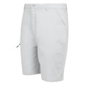 Silbergrau - Side - Regatta - "Dalry" Shorts für Herren