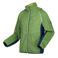 Pikantgrün-Leuchtend Blau-Zitronen Limette - Side - Regatta - "Steren II" Hybridjacke für Herren