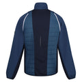 Dunkel-Jeansblau-Marineblau-Leuchtend Rot - Back - Regatta - "Steren II" Hybridjacke für Herren