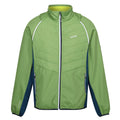 Pikantgrün-Leuchtend Blau-Zitronen Limette - Front - Regatta - "Steren II" Hybridjacke für Herren