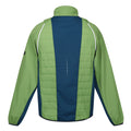 Pikantgrün-Leuchtend Blau-Zitronen Limette - Back - Regatta - "Steren II" Hybridjacke für Herren