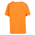 Persimmon - Back - Regatta - "Alvardo VIII" T-Shirt für Kinder