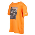 Persimmon - Side - Regatta - "Alvardo VIII" T-Shirt für Kinder