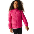 Pinker Trank - Pack Shot - Regatta - "Hillpack II" Steppjacke mit Kapuze für Kinder