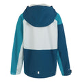 Leuchtend Blau-Tahoeblau - Back - Regatta - "Highton V" Hoodie mit durchgehendem Reißverschluss für Kinder