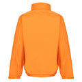 Hellorange-Dunkelgrau - Back - Regatta Dover Jacke mit Thermo-Guard-Isolierung, wasserdicht, winddicht